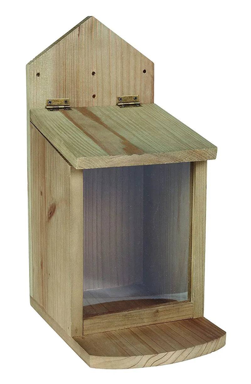 Squirrel Feeder Wood