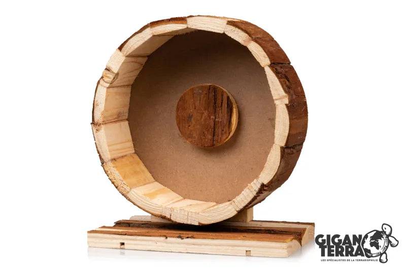 Eye M Excercise Wheel Diameter 20 cm