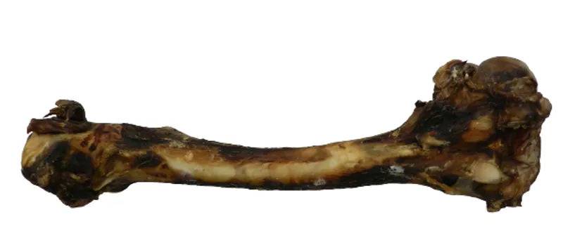 Large Deer Bone Happy Pet Products Limited