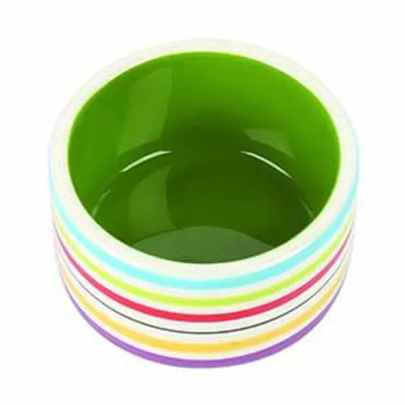 Rainbow Pet Bowl