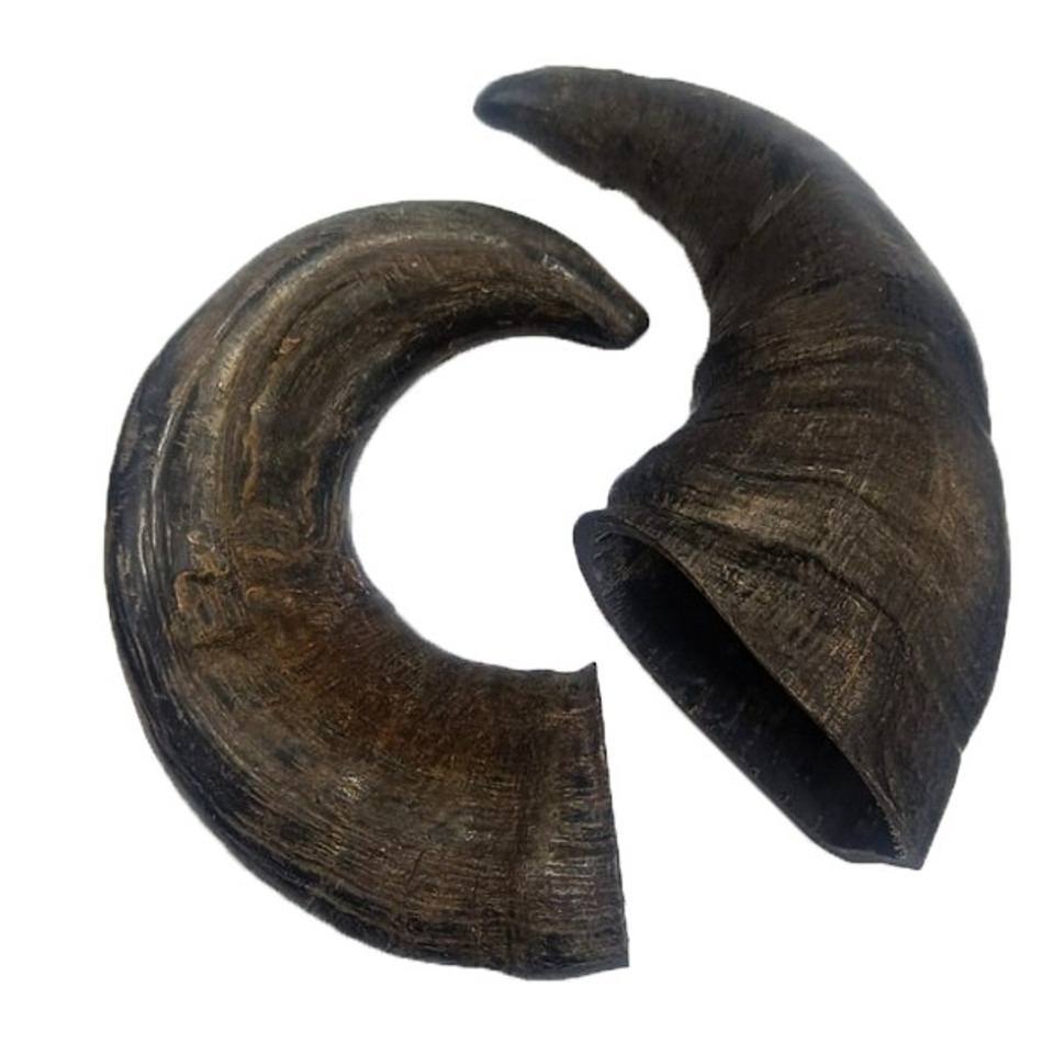 Doodles Deli Air Dried Water Buffalo Horn - 1 Piece