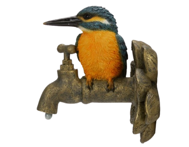 Wall Hang Kingfisher on Garden Tap Size F by Vivid Arts