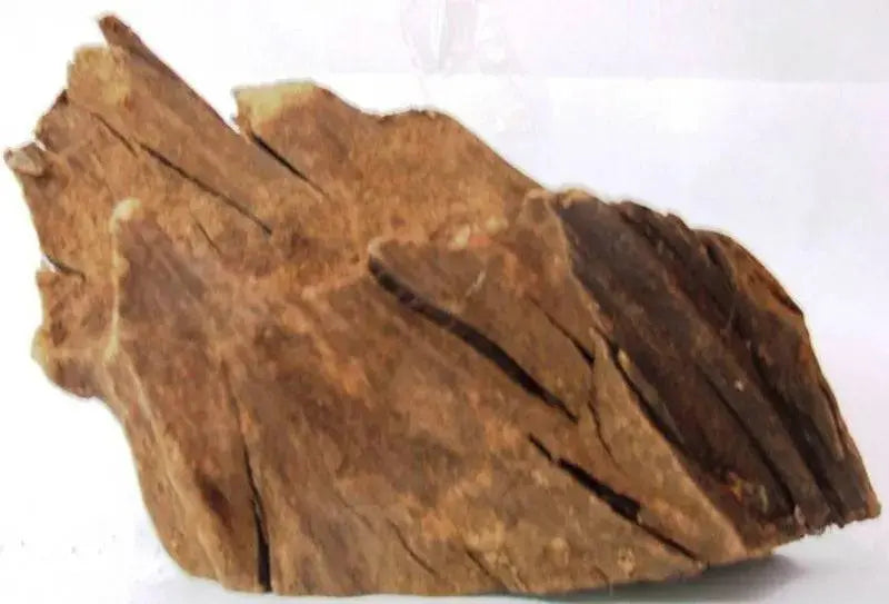 Driftwood Small (Shrink Pack) Kw Aquatics Supplies Sdn.Bhd