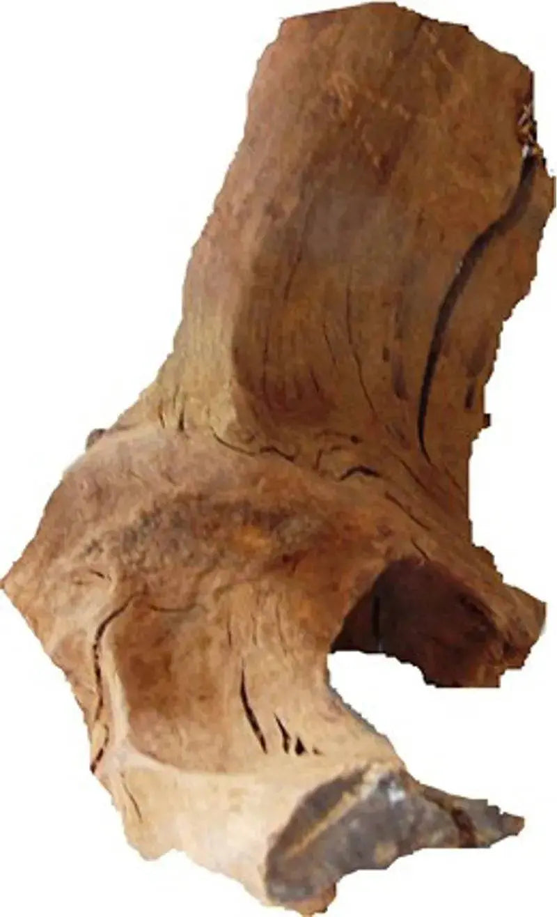 Medium Driftwood Aquarium Decoration Kw Aquatics Supplies Sdn.Bhd
