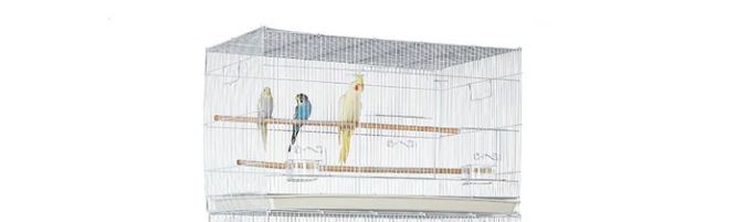 Rainforest Cages Manu Bird Cage Single