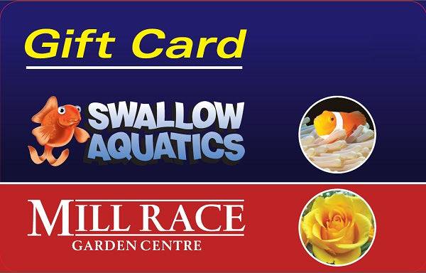 Swallow Aquatics Virtual Gift Card