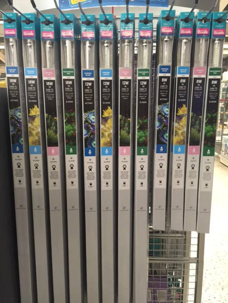 Arcadia T5 LED 8W Marine White