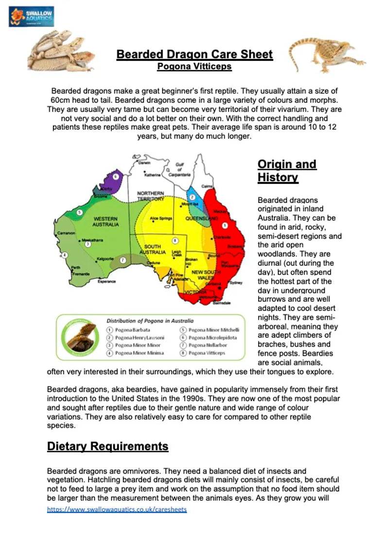 Bearded Dragon Care Sheet
