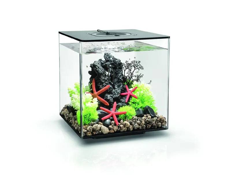 biOrb CUBE 30L Black with Multi-Colour Remote 2020.