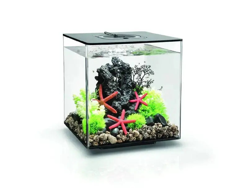 biOrb CUBE 30L Black with Multi-Colour Remote 2020. Biorb