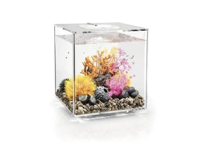 biOrb CUBE 30L Clear with Multi-Colour Remote 2020. Biorb