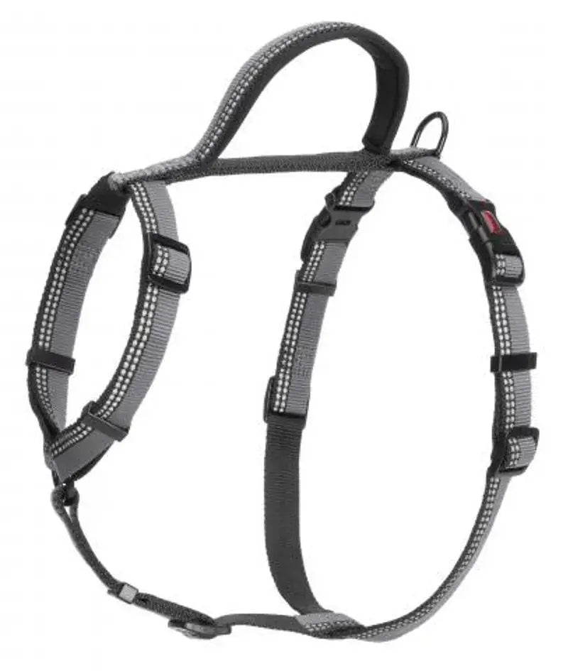 Halti Large Walking Harness in Black Pedigree Wholesale Limited