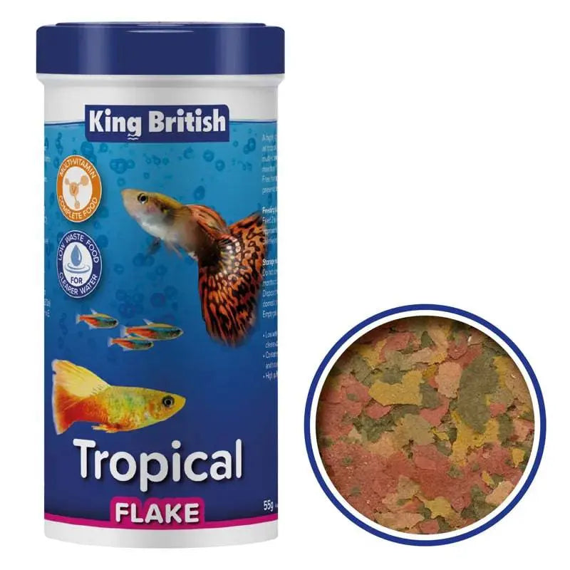 King British Tropical Fish Flake Food 28g King British
