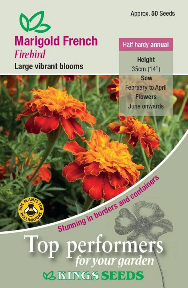 MARIGOLD FRENCH FIREBIRD