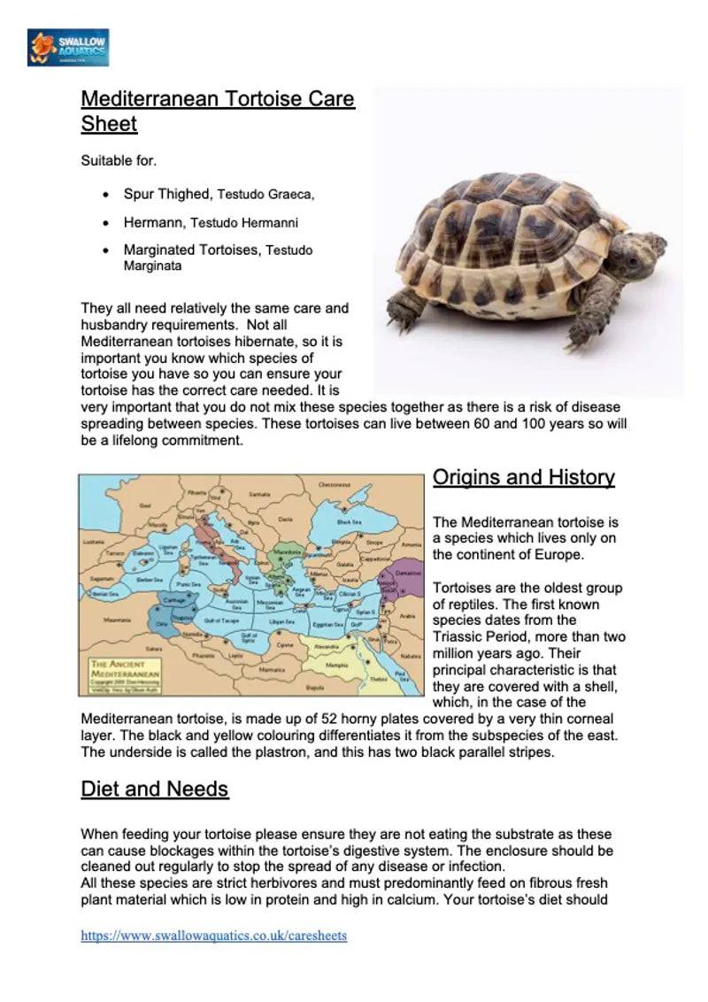 Mediterranean Tortoise Care Sheet