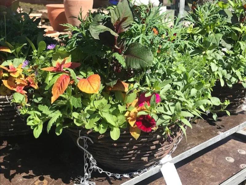 Rattan Mixed Hanging Basket 35cm