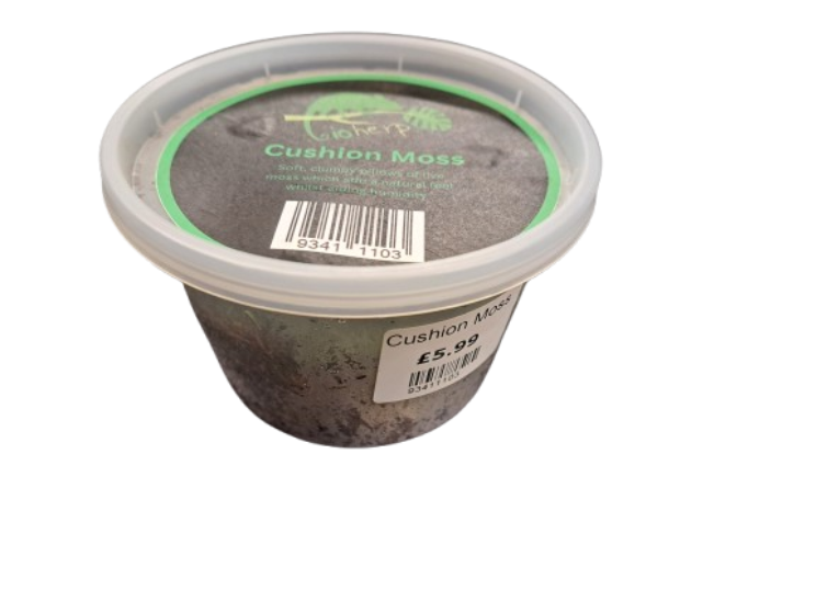 Buzzard Reptile Cushion Moss