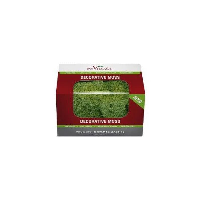 Reindeer Moss Green 50g My Village