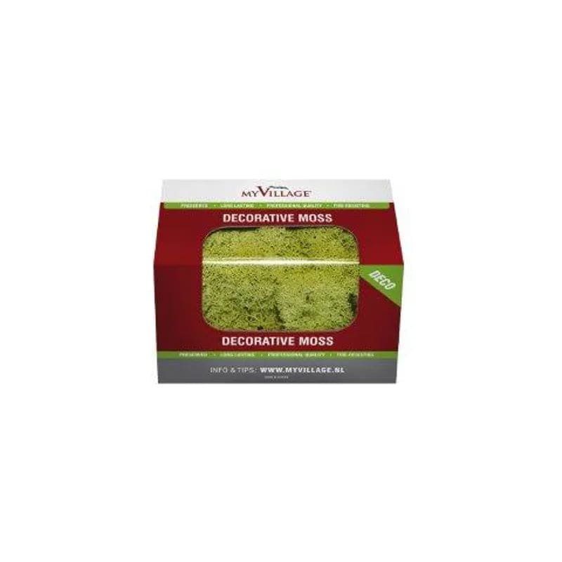 Reindeer Moss Light Green 50g My Village