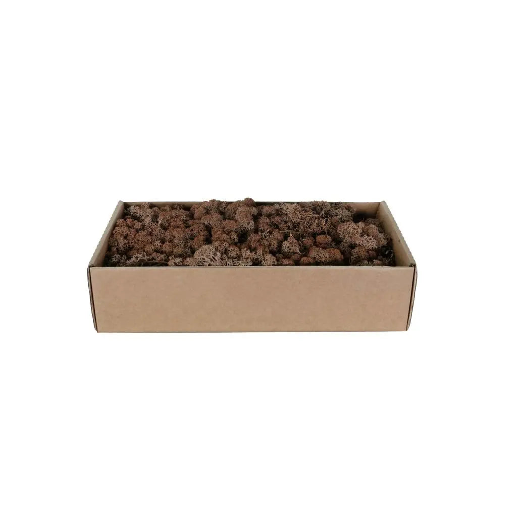 My Village Reindeer Moss Brown 500G