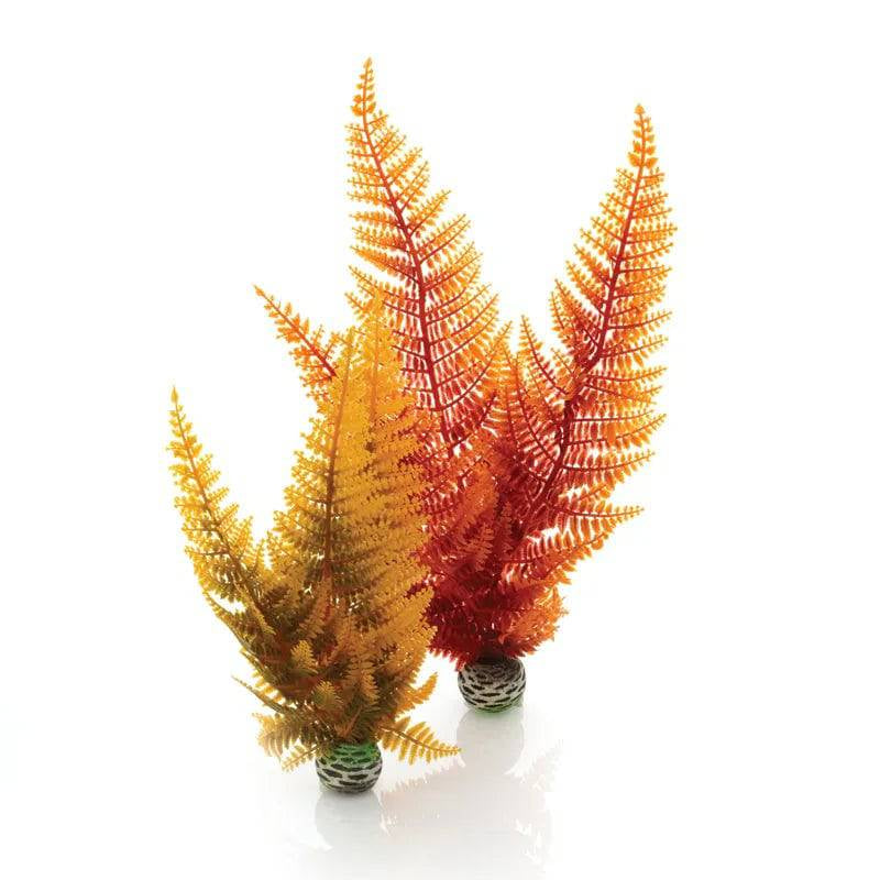 biOrb Plants & Decor Aquatic Autumn Fern Set of 2