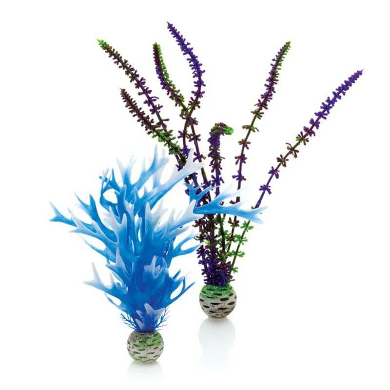 biOrb Plants & Decor Plant Blue & Purple Set of 2 Medium