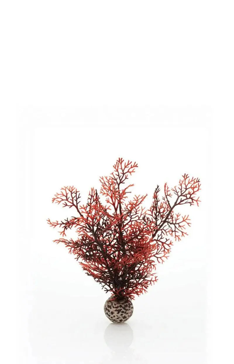 biOrb Crimson Sea Fan Aquarium Decoration Small Oase (Uk) Ltd