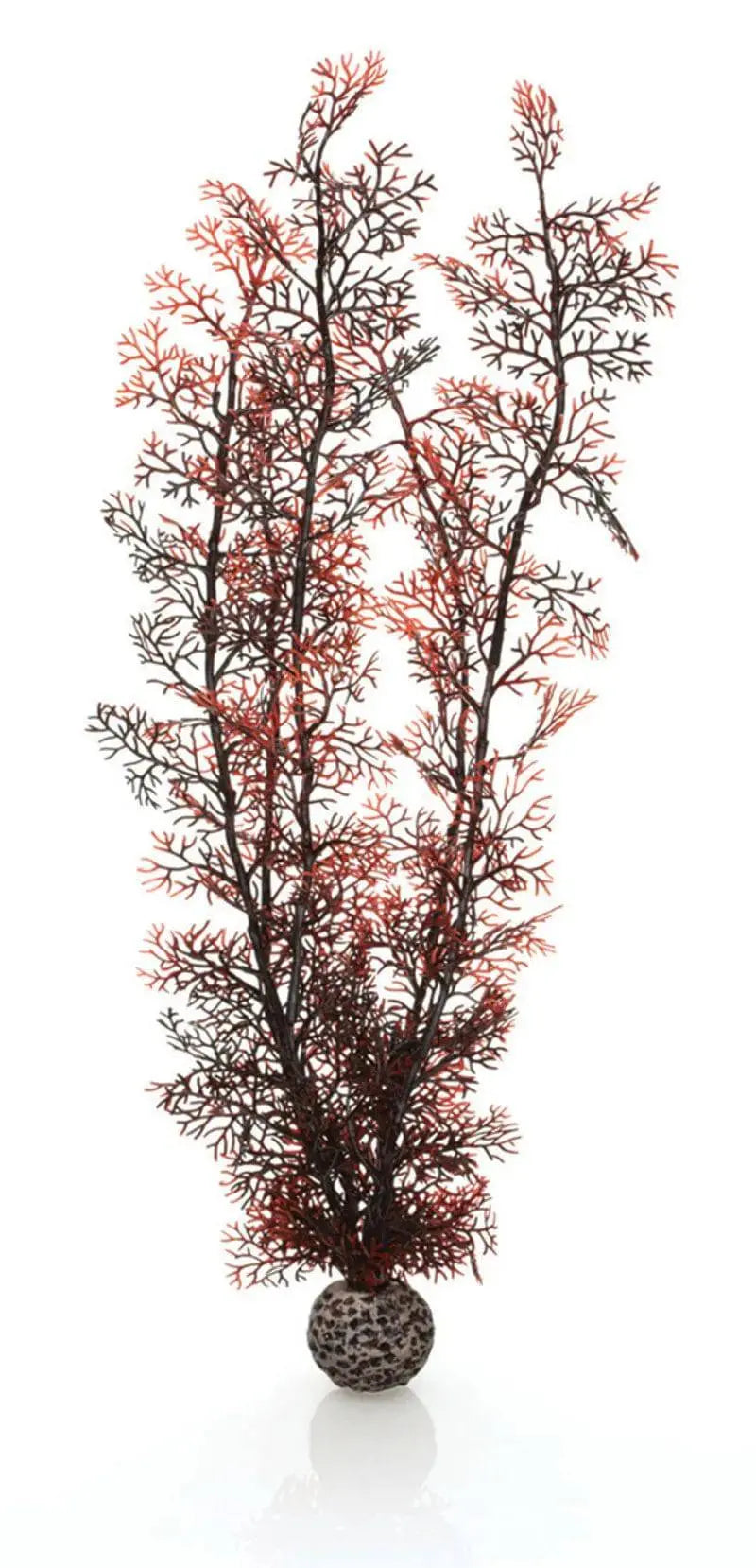 biOrb Crimson Sea Fan Aquarium Decoration Very Large Oase (Uk) Ltd