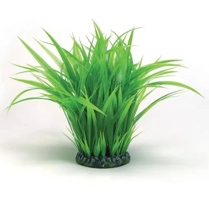 biOrb Grass Ring Medium Oase (Uk) Ltd