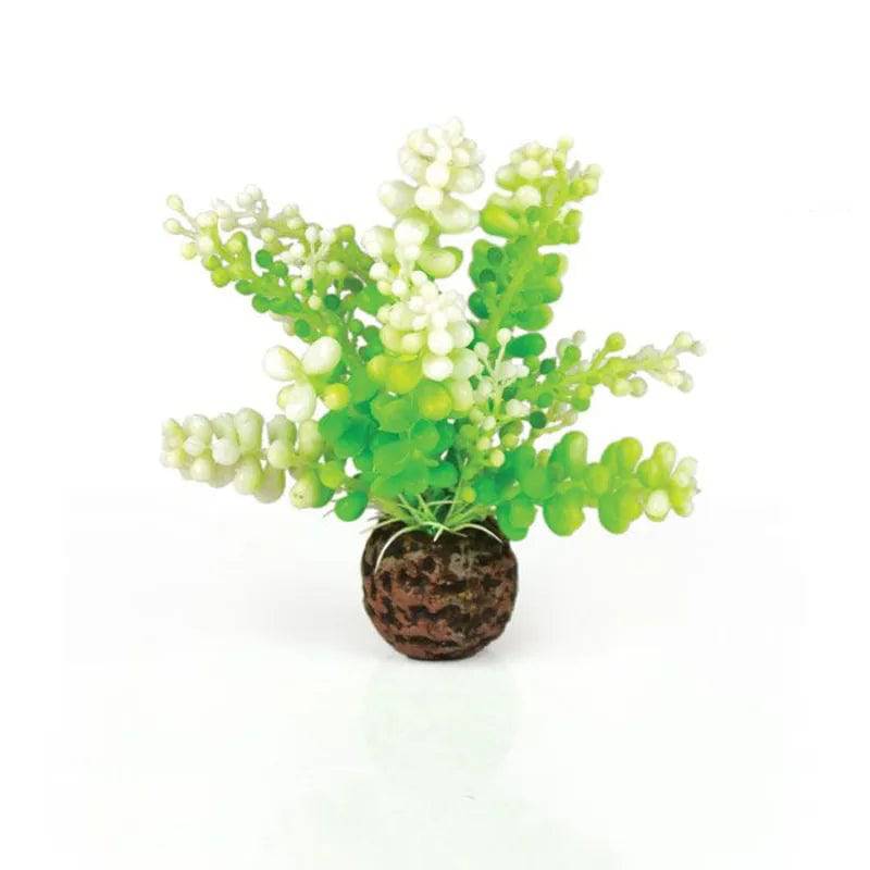 biOrb Green Caulerpa Plant Aquarium Ornament