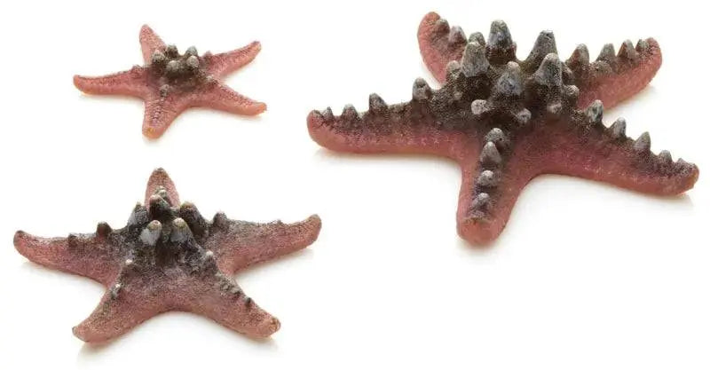 biOrb Pink Sea Star – Set of 3 Aquarium Decorations Oase (Uk) Ltd