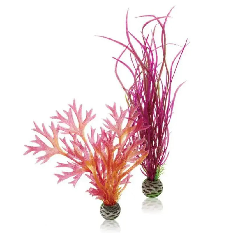 biOrb Plants & Decor Red & Pink Plant Set Medium Oase (Uk) Ltd