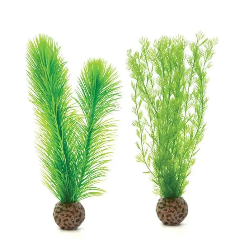 biOrb Small Green Feather Fern Set Aquarium Decoration Oase (Uk) Ltd