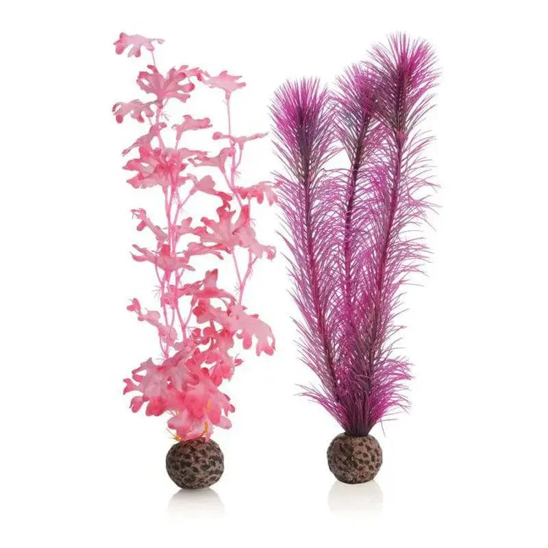 biOrb Kelp Pink Plant Set x2 Small – Aquarium Decoration Oase (Uk) Ltd