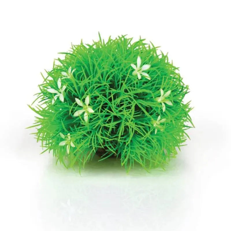 biOrb Topiary Ball With Daisies Oase (Uk) Ltd