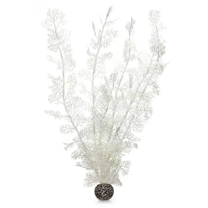 biOrb White Sea Fan Aquarium Decoration Large Oase (Uk) Ltd