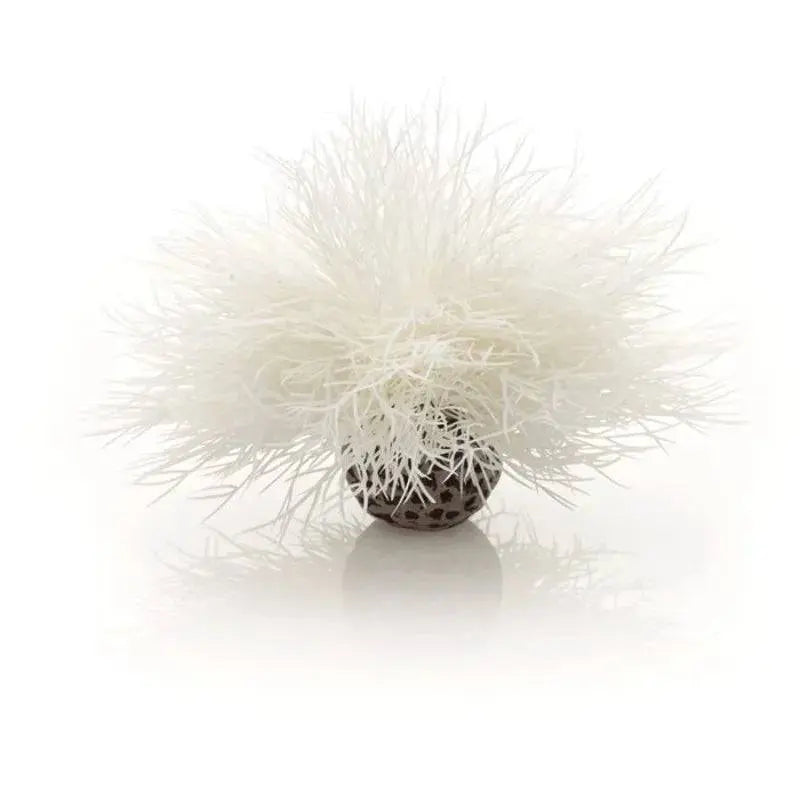 biOrb White Sea Lily Aquarium Decoration Oase (Uk) Ltd