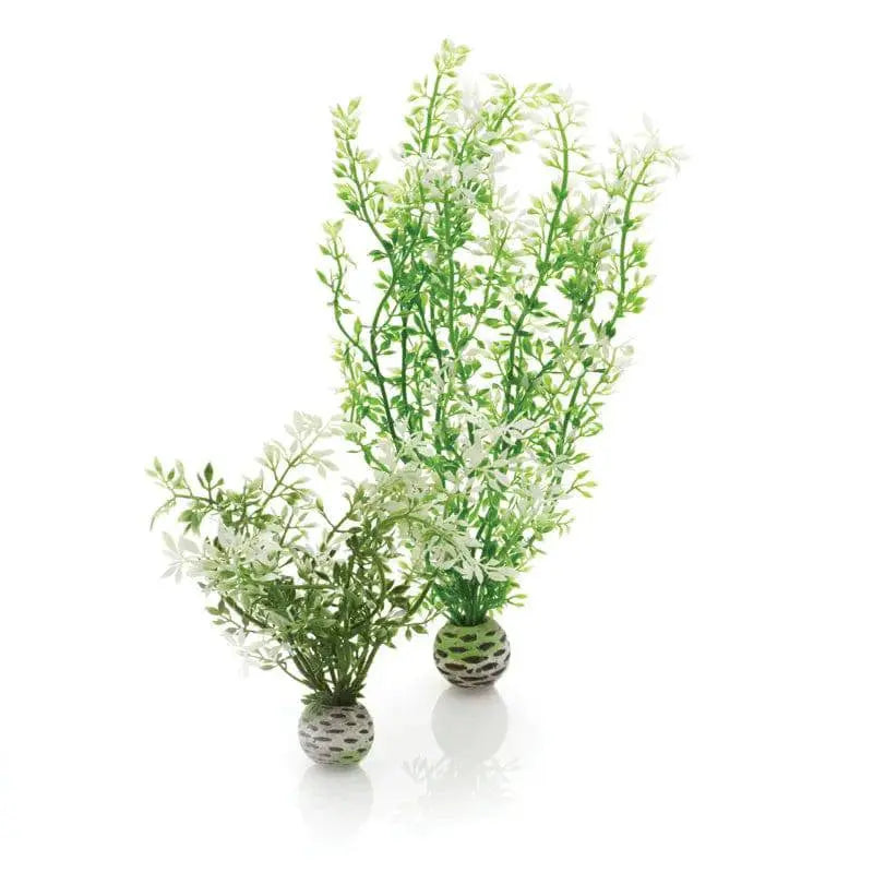 BiOrb Winter Flower Plant Set of 2 Oase (Uk) Ltd