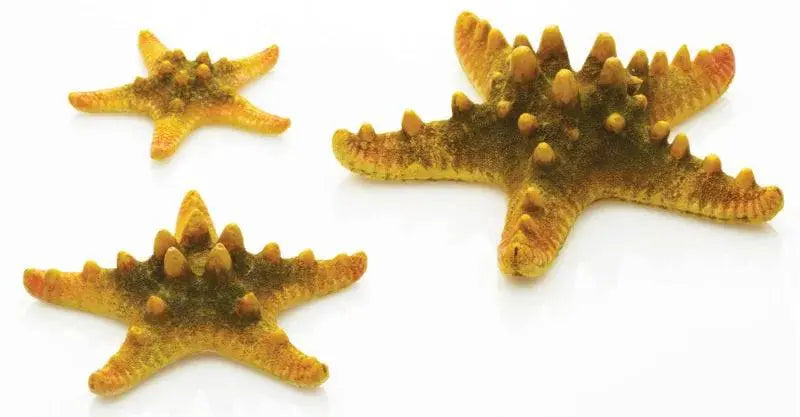 biOrb Yellow Sea Star x3. Oase (Uk) Ltd