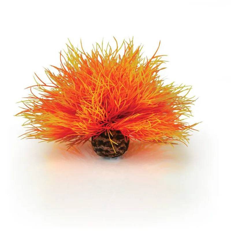 Biorb Flame Sea Lily Aquarium Decoration
