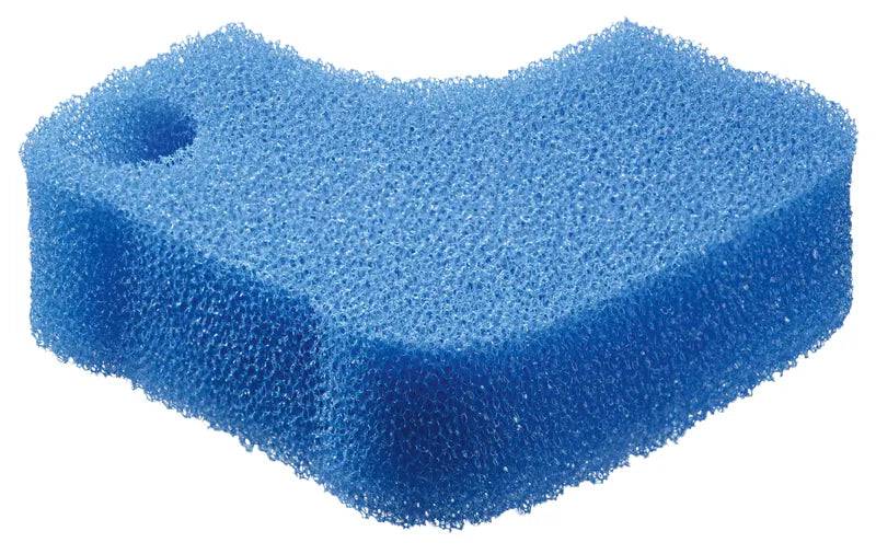 Foam BioMaster Blue
