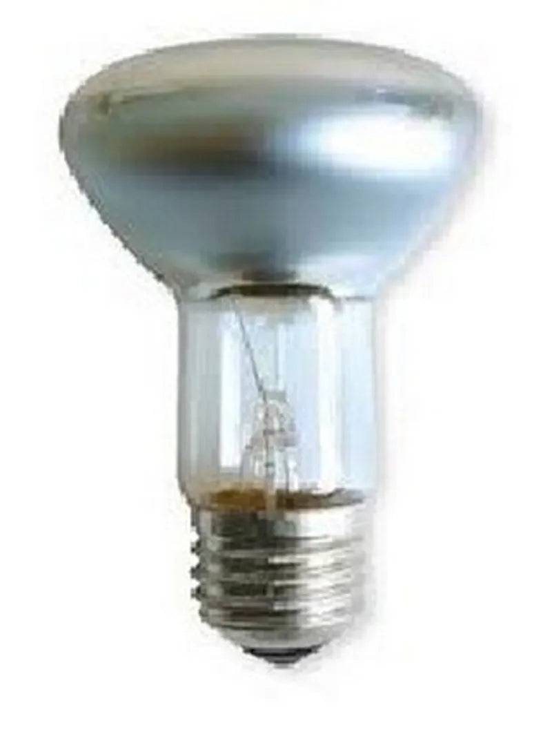 60w Spot Bulb Screw In Fitting Peregrine Livefoods Ltd