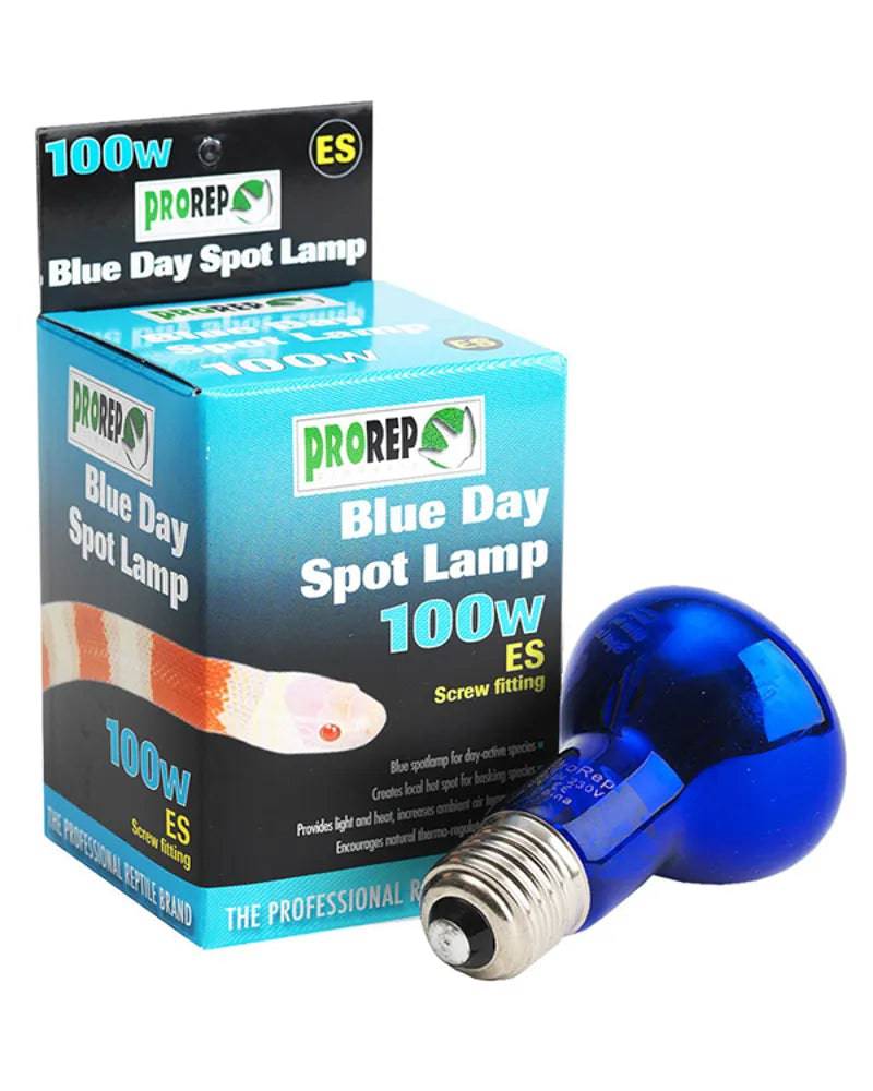 Blue Day Spotlamp ES 100w by Peregrine Livefoods Ltd Peregrine Livefoods Ltd