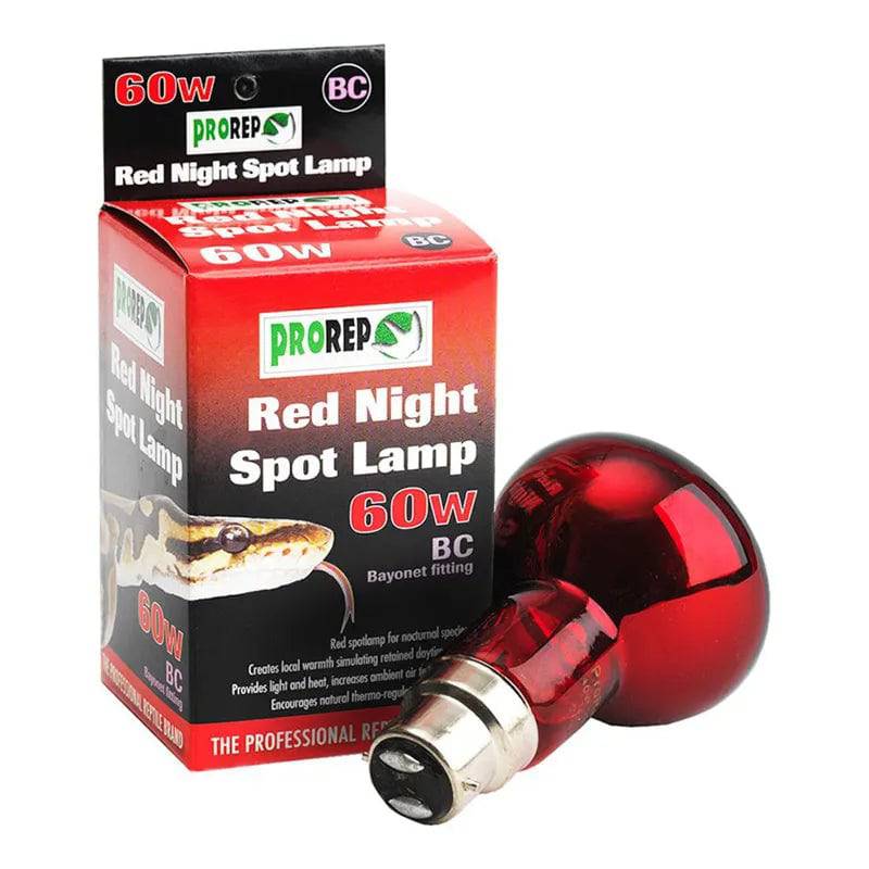 PR Basking Red 60w BC Peregrine Livefoods Ltd
