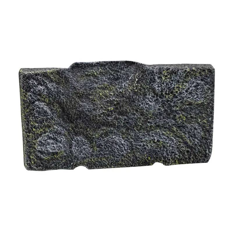 RepStyle Turtle Bank Small