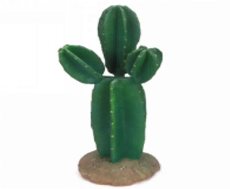 Cactus 10 Size 1514.533 Pets 2 Wholesale