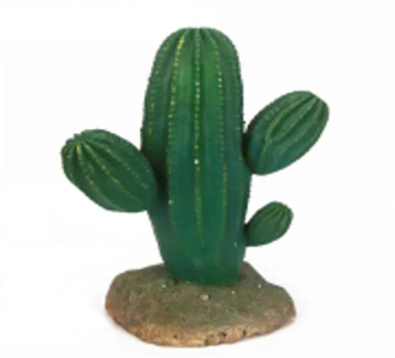 Cactus 11 Size 171324.5