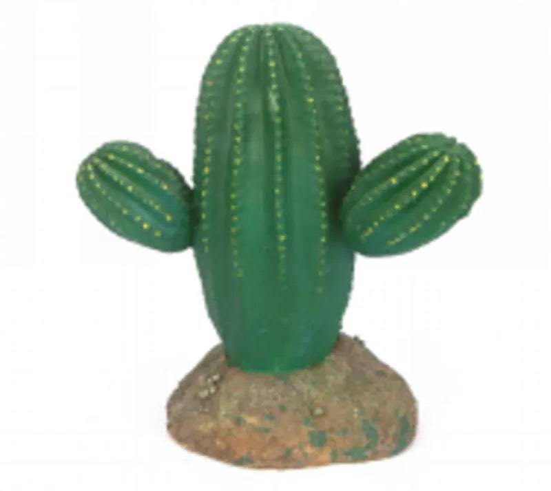 Cactus 12 Size 14917