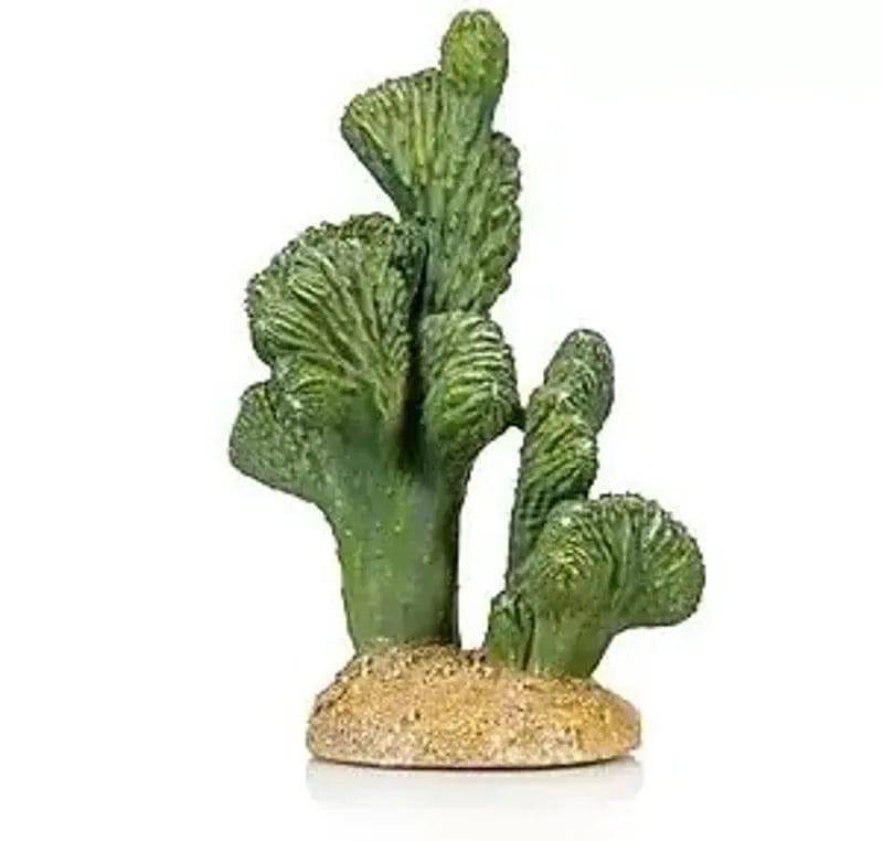 Cactus 6 Reptile Resin Ornament – Terrarium Decoration 13 x 11 x 18cm Pets 2 Wholesale