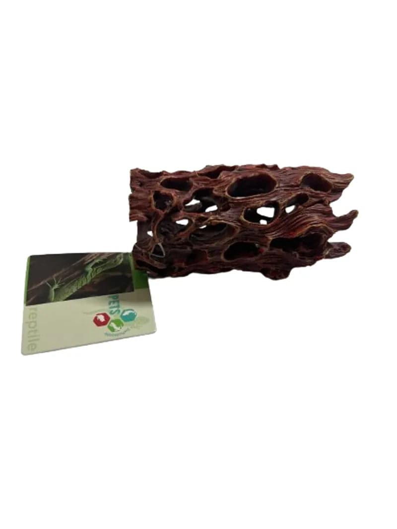 Cholla Cactus 3 Size 11.556.2 Pets 2 Wholesale